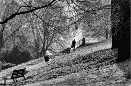 guy_dauvergne103
