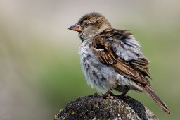 2022_06_img_4357